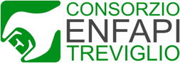 ENFAPI Consortium logo