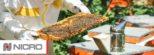 Beekeeping Project
