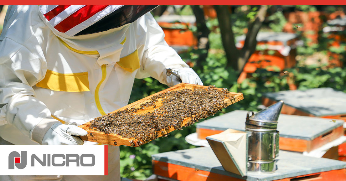 Nicro Beekeeping Project