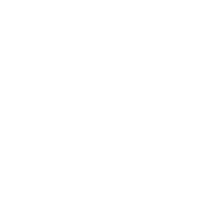 Logo certificazione 1